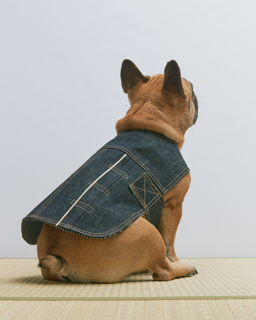 Indigo Type-1 Selvedge Denim Dog Jacket