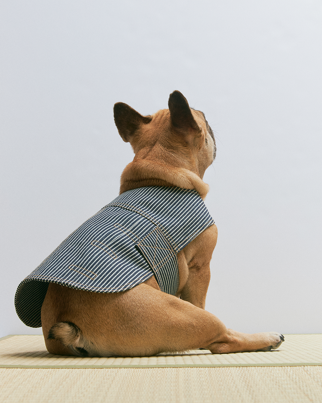 HICKORY STRIPE TYPE-I DOG JACKET