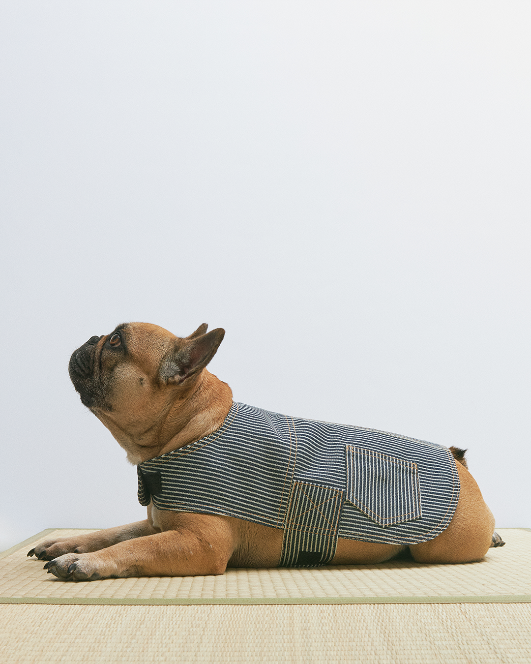 HICKORY STRIPE TYPE-I DOG JACKET