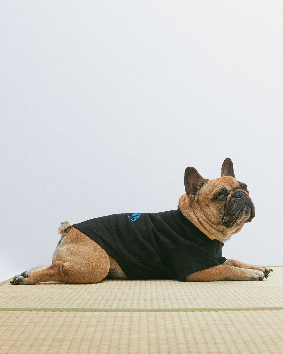 Arch Dog Tee