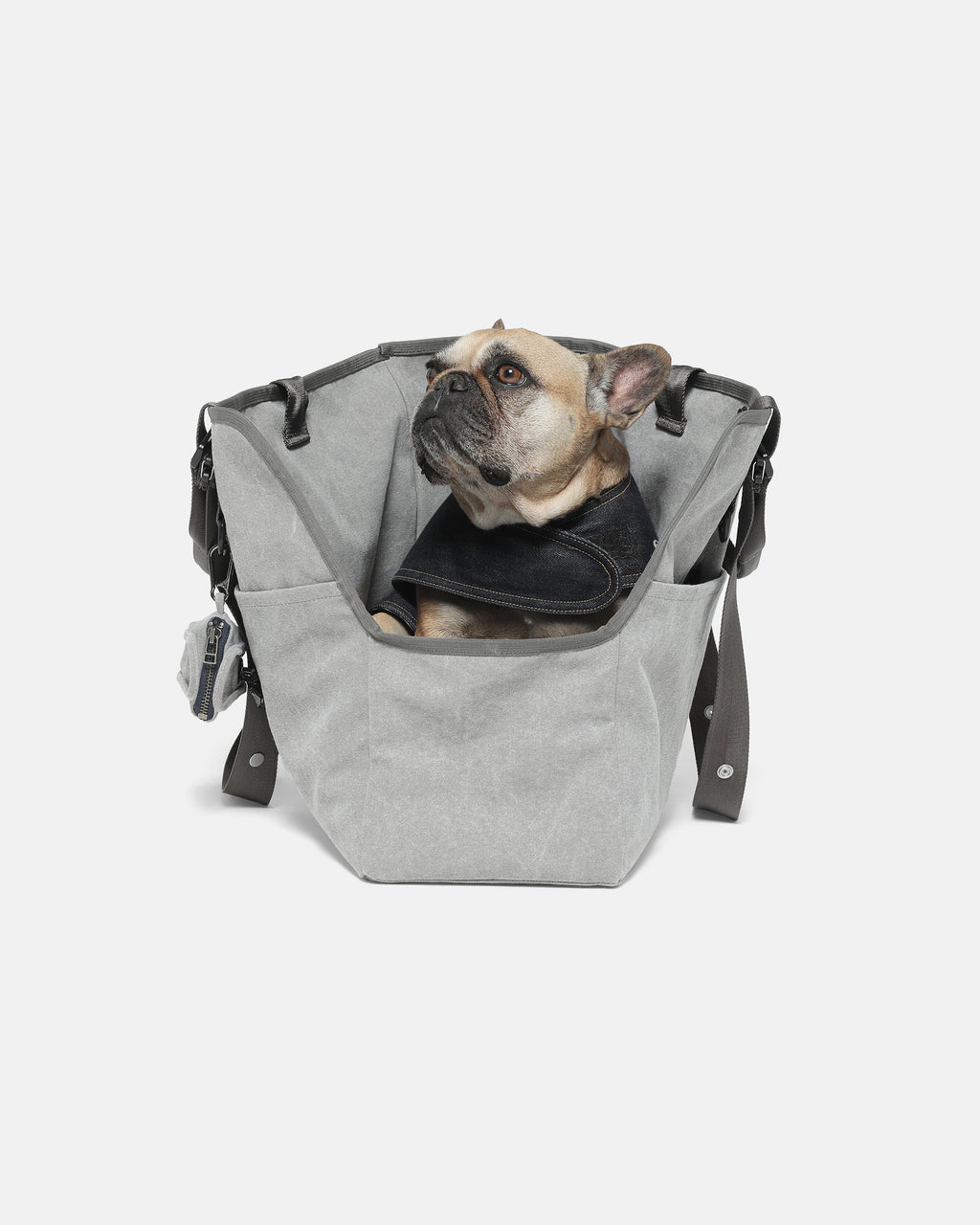 DSPTCH x Blue Paws Pet Carryall